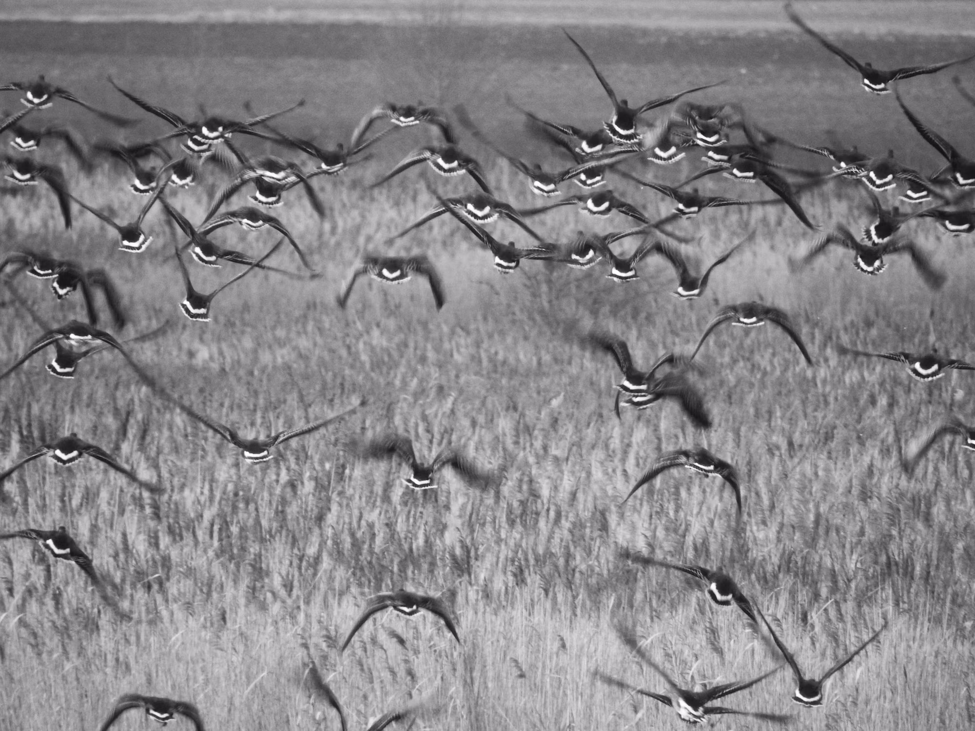 Die Reise des Journalings: Persönliches Wachstum durch Schreiben ermöglichen